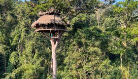 Huay Xai Jungle - Capture the authentic charm of Laos’ cultural scene